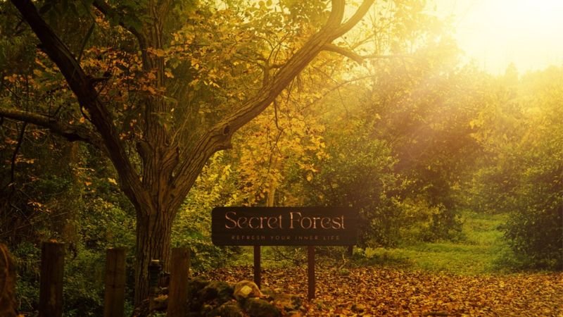 secret forest cyprus