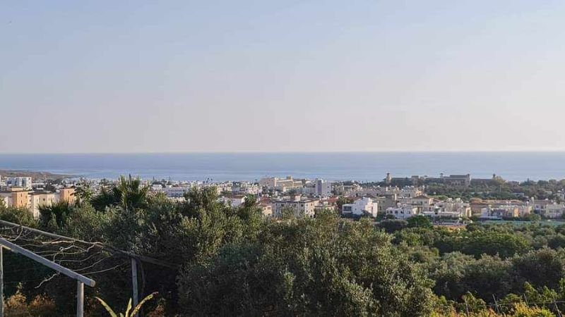 agora tavern view